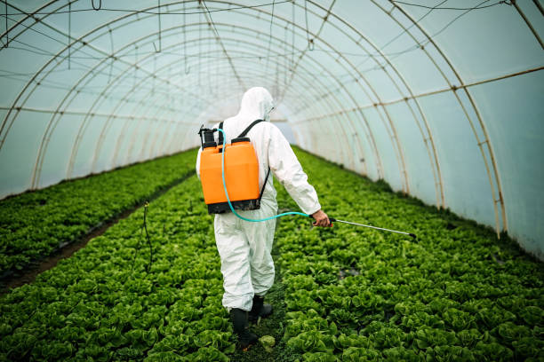 Best Pest Inspection Near Me  in Fountain Inn, SC