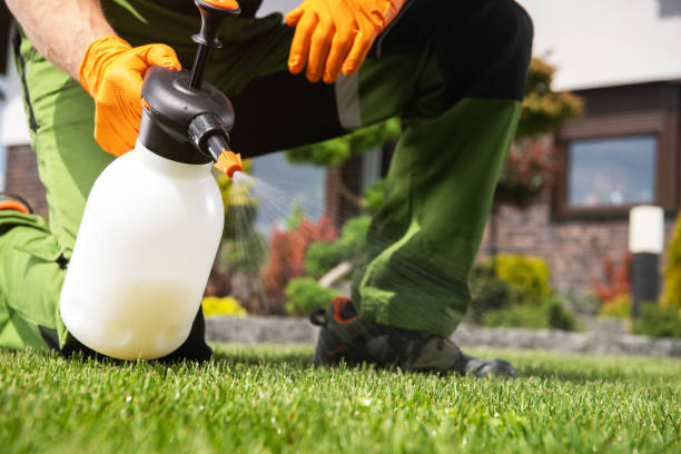 Insect Control in Fountain Inn, SC