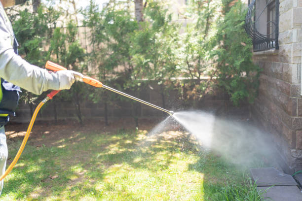 Best Wasp Removal Services  in Fountain Inn, SC